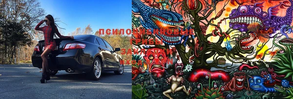 PSILOCYBIN Арсеньев