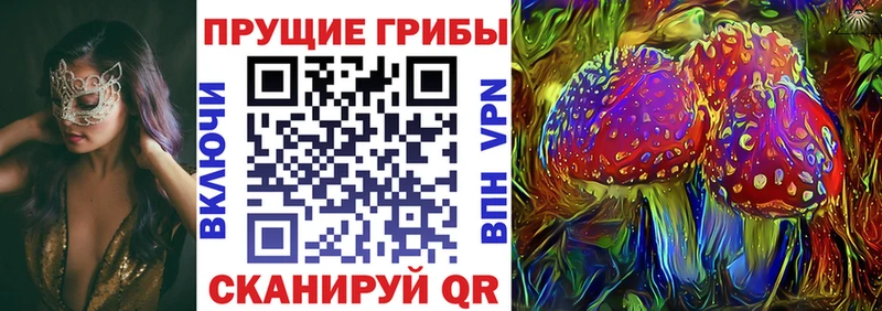Псилоцибиновые грибы MAGIC MUSHROOMS  Ржев 